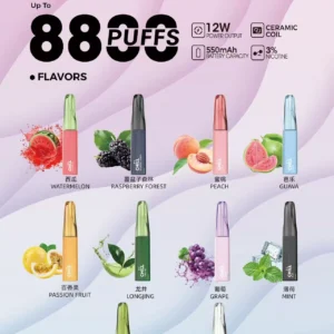 CHILL拋棄式8800口.webp CHILL拋棄式8800口